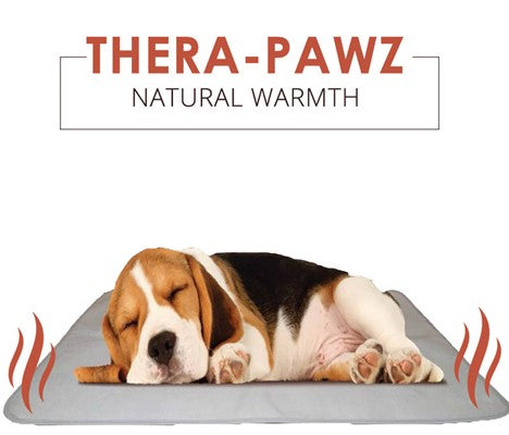Four Great Ideas on Keeping Your Pet Warm This Winter